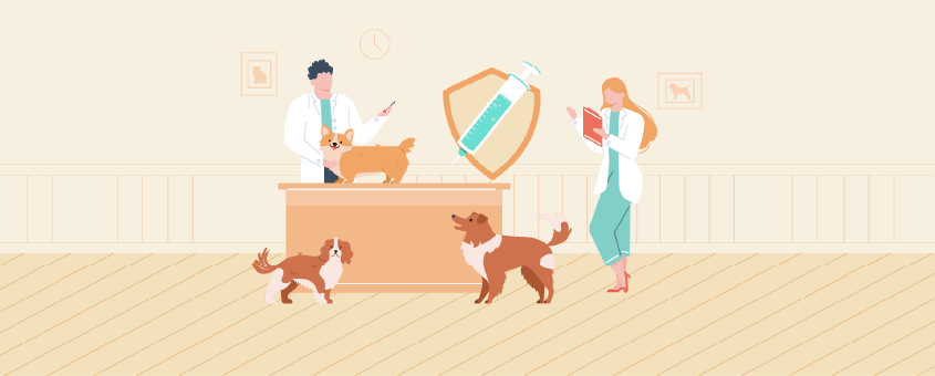 Dog Vaccinations and Deworming