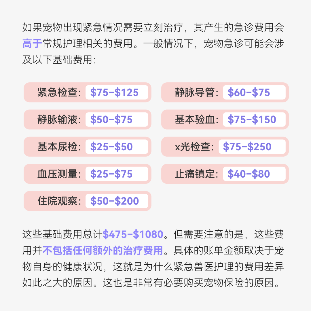1708706956431785.png 宠物看病费用.png